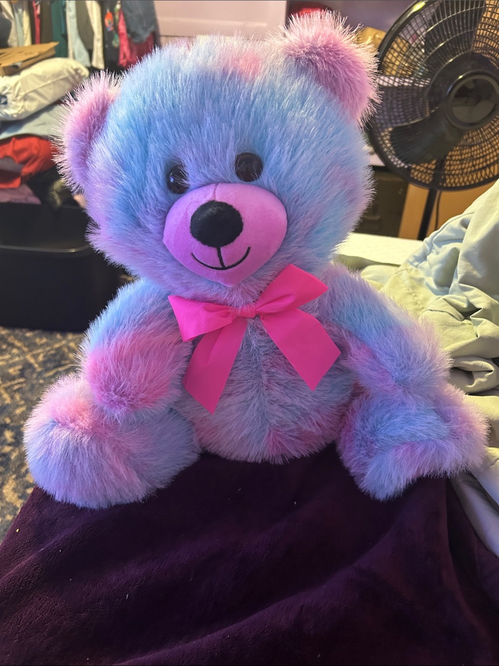 cotton candy bear